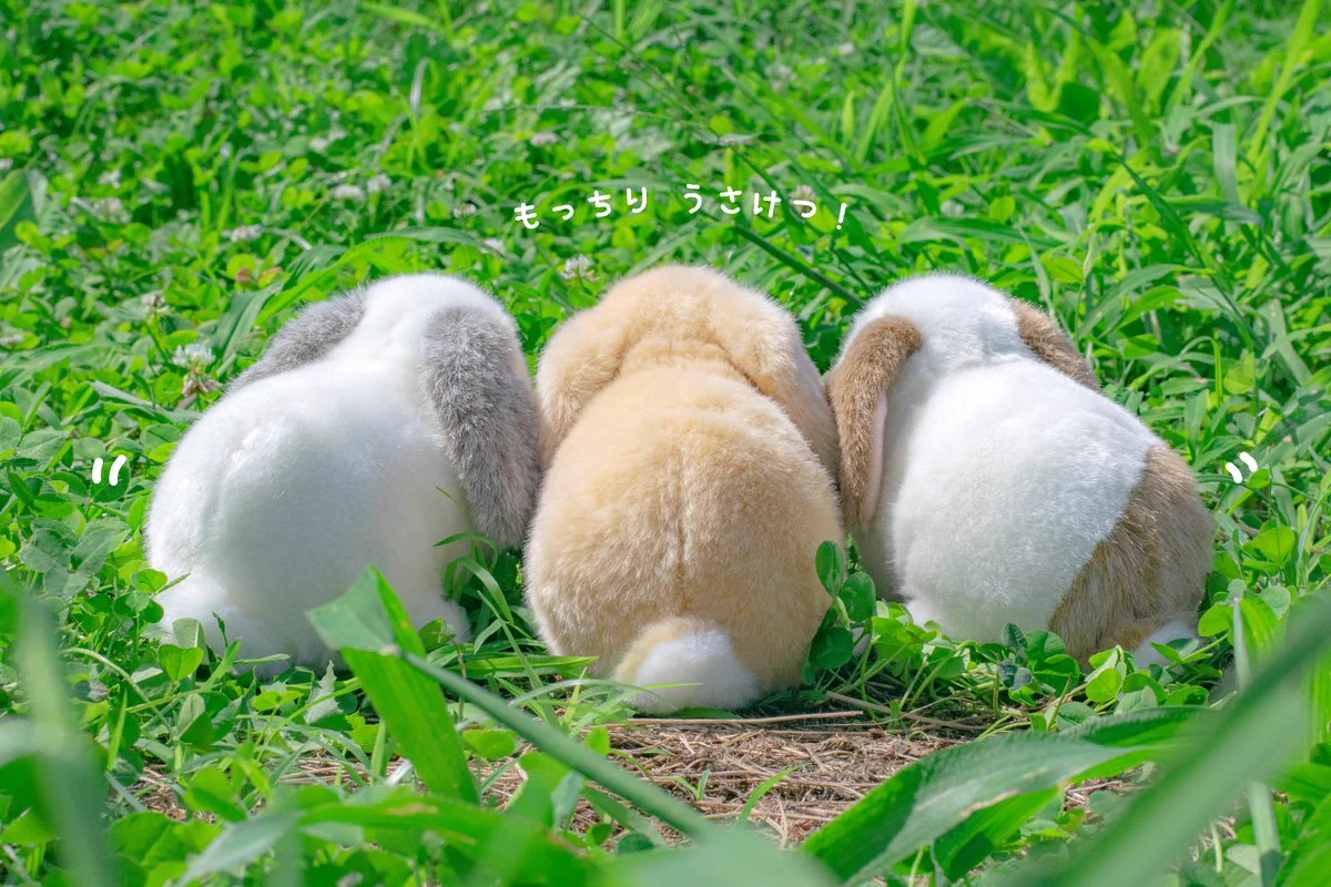公式】吉徳のぬいぐるみ on X: 