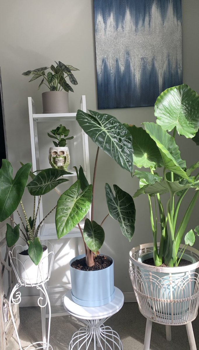 Marta Janina tweet media