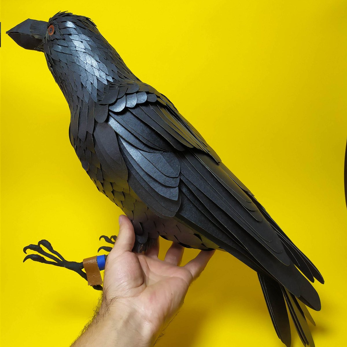 Escultura en papel a escala real de Corvus corax. Este pedido fue  inspirado en @vantatheraven