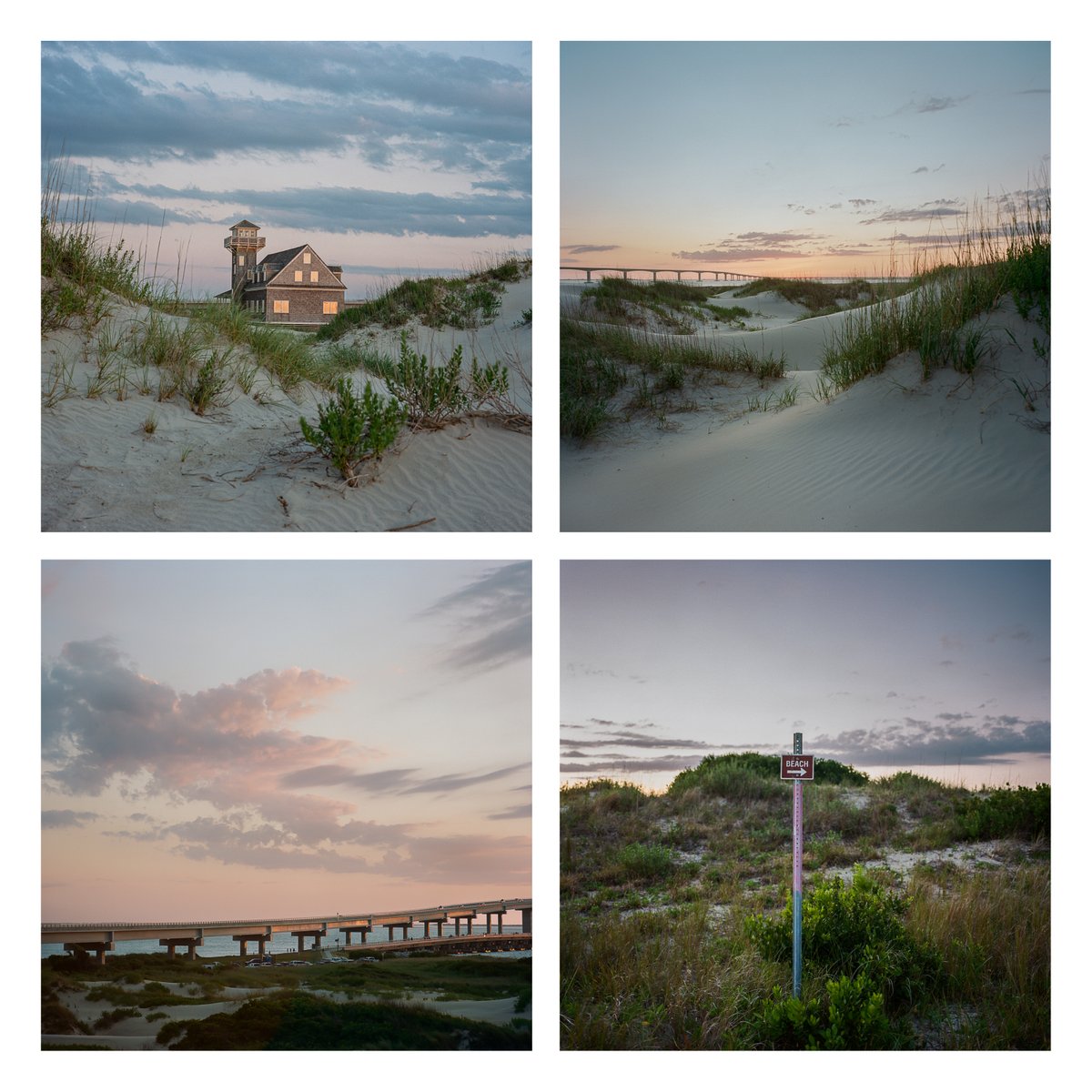 Four frames from a night at Pea Island. 
Mamiya 6 ■ Portra 400