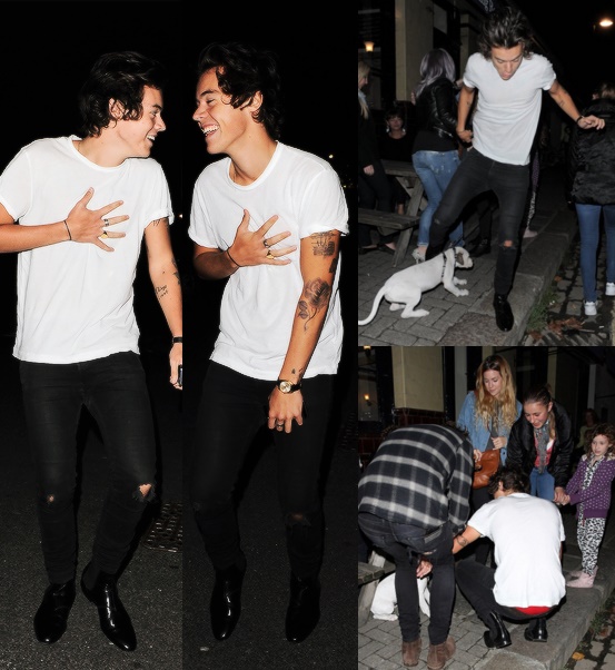 todays1dhistory's tweet photo. Today (September 14) in 2013 - Harry nearly gets hit by a car and trips over a dog (to whom he apologizes, ofc) on a night out in London 🙈😂💗 https://t.co/yHdSEma2C9