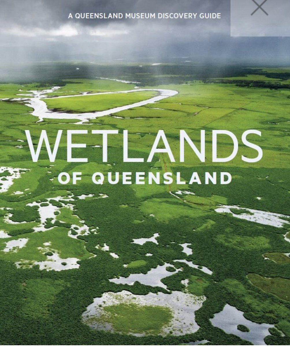 StupidistGit's tweet image. It’s out! The very beautiful Queensland Museum book Wetlands of Queensland that colleagues like @SpringyLimno @DryRiverbedGirl @john_tibby @cam_barr @WalthamNathan and many others contributed to is on sale. Stunning photos throughout. Do yourself a favour, get one!!