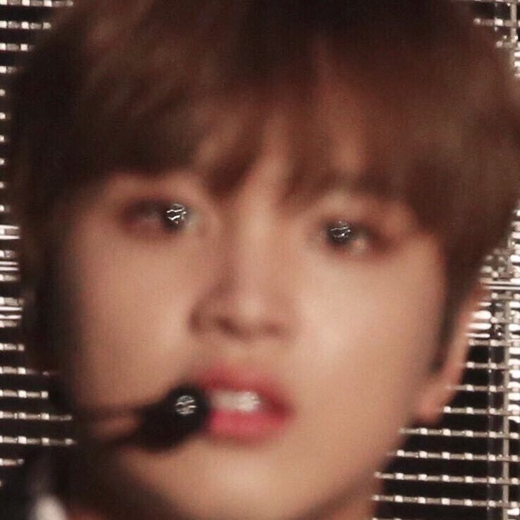 쟈니랑 해차니 닮은 고영이 찾았는데 이 둘이 형제래