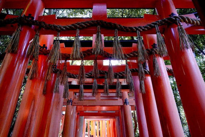 「ロープ 神社」のTwitter画像/イラスト(新着)｜3ページ目