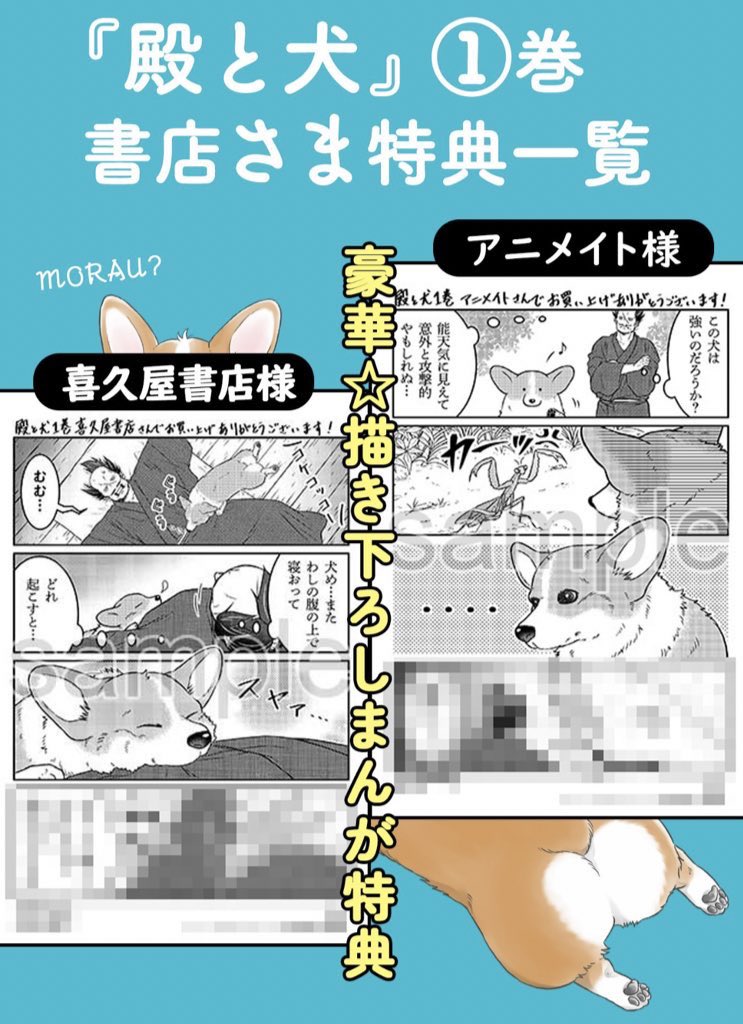 \明日🐶単行本発売/  武士とコーギー🐶 犬との暮らしは発見がいっぱい⁉︎ 『#殿と犬(とのといぬ)』第①集  【描き下ろし書店特典】は 👇こちらでチェック👇 https://comic-polaris.jp/polaris_comics/  【試し読み】は 👇こちら👇    書籍扱いコミックのため 本日店頭に並ぶこともあります