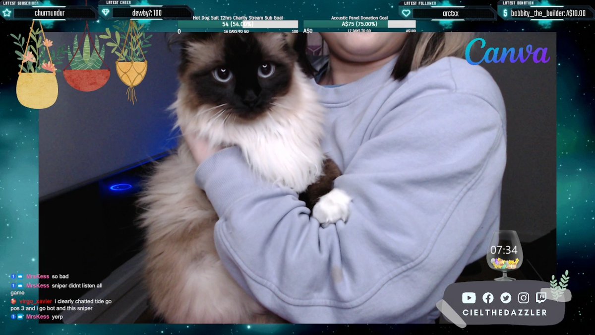 Cielvl_ttv's tweet photo. Do you have a stream pet/ mascot ? 
I have both hahaha. who look better on stream ? Lola or Baguette ? ♥ (Don't mind my double chin lelelel)
Showcase them below.

#twitchpets #streampets #twitchstreamers #girlstreamer #streamergirl #ragdoll #kitten #plushies https://t.co/nnvhcijA3a