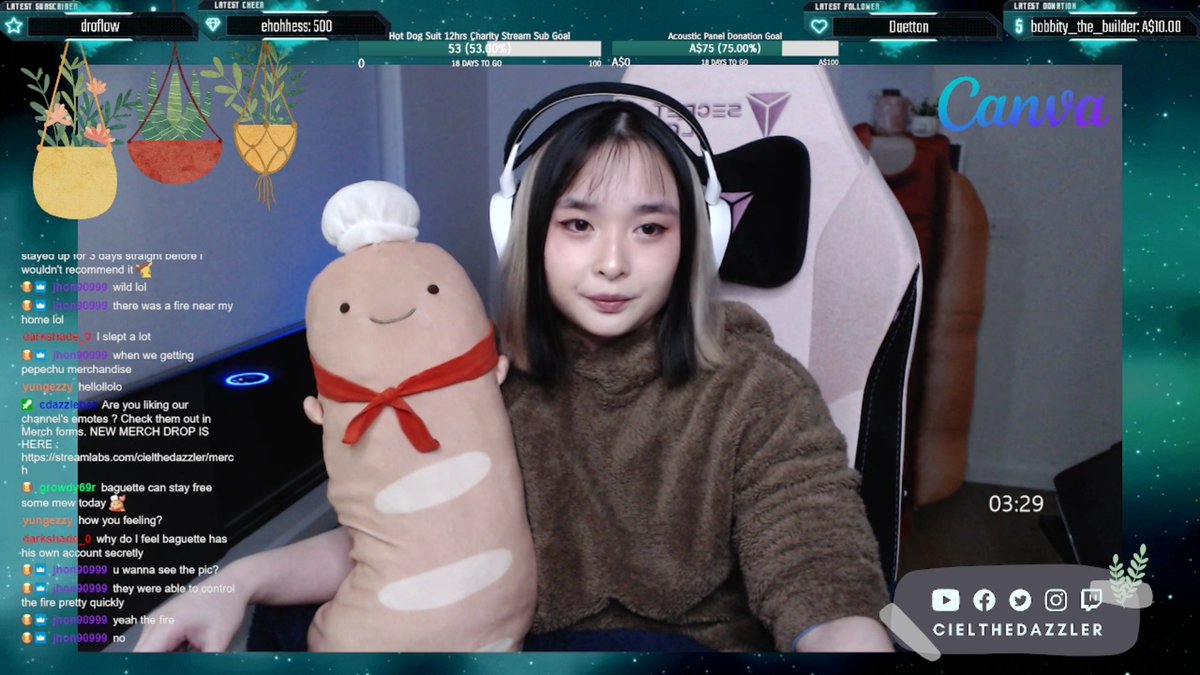 Cielvl_ttv's tweet photo. Do you have a stream pet/ mascot ? 
I have both hahaha. who look better on stream ? Lola or Baguette ? ♥ (Don't mind my double chin lelelel)
Showcase them below.

#twitchpets #streampets #twitchstreamers #girlstreamer #streamergirl #ragdoll #kitten #plushies https://t.co/nnvhcijA3a