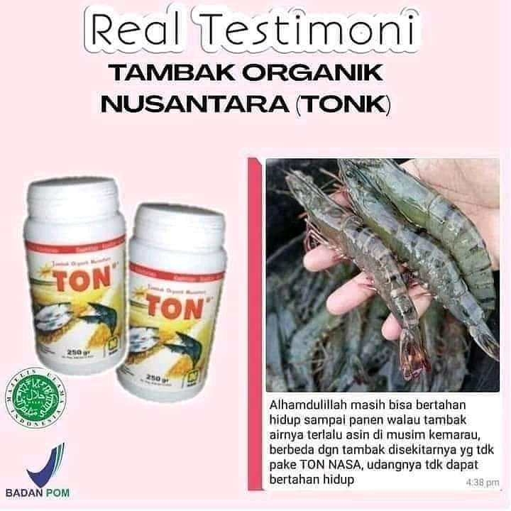 BeasiswaCerdas's tweet photo. Agen Pupuk Nasa | Jual Pupuk Nasa | Jual Pupuk Organik 085797116827 | harga pupuk perangsang buah kopi | harga pupuk ajaib pelebat buah https://t.co/mdfb5mRzOH
