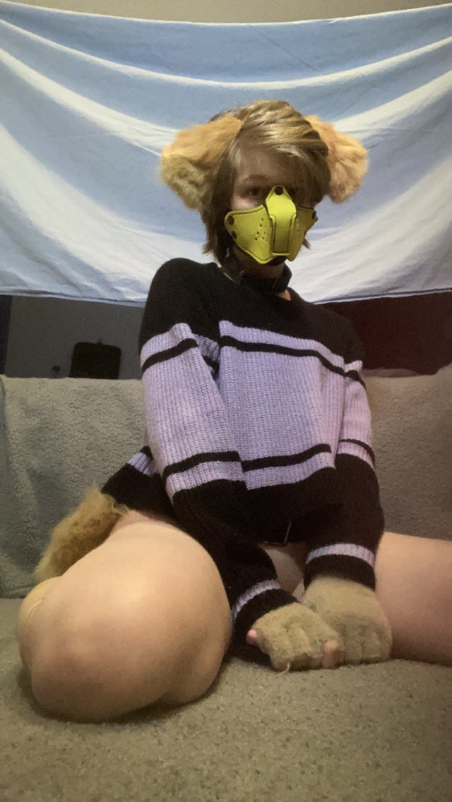 TwinkMutt's tweet photo. @lilfawnprince He/him puppy boy, all i have rn is my twitter! Woof :3 https://t.co/GbjTXUAj3T