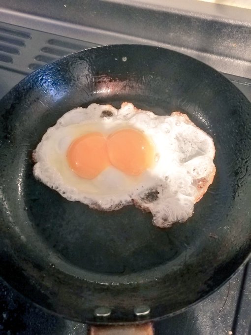 双子卵初めて出た!!! 