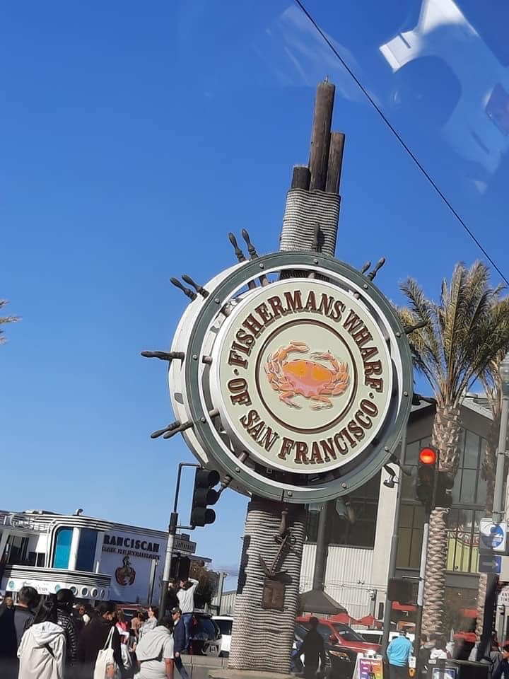 molzipky20's tweet image. 