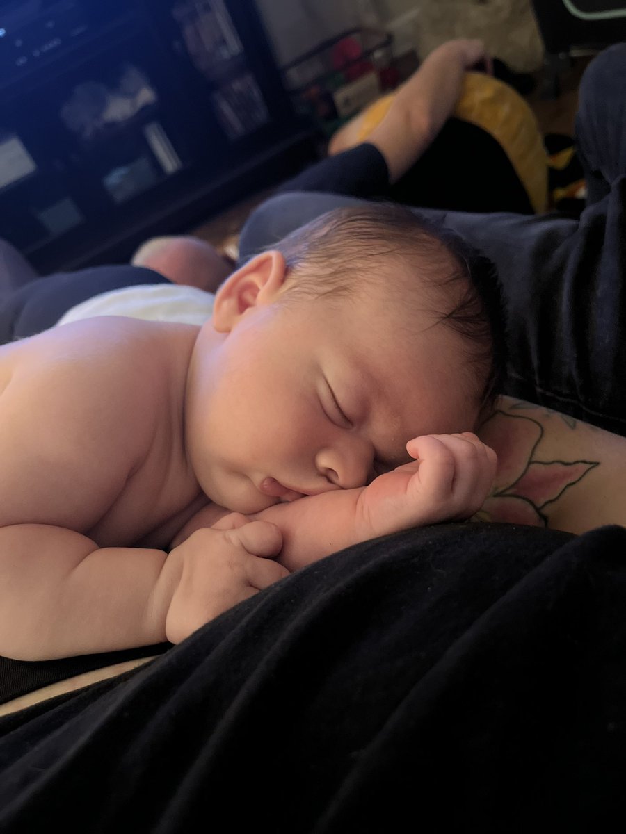 heymrsgassmann's tweet photo. How could you not want to just cuddle this chunk all day long???? https://t.co/IYtawhuJNl