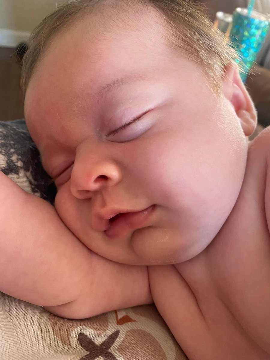 heymrsgassmann's tweet photo. How could you not want to just cuddle this chunk all day long???? https://t.co/IYtawhuJNl
