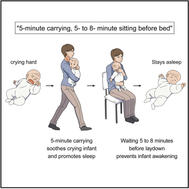 Matt Walker tweet media