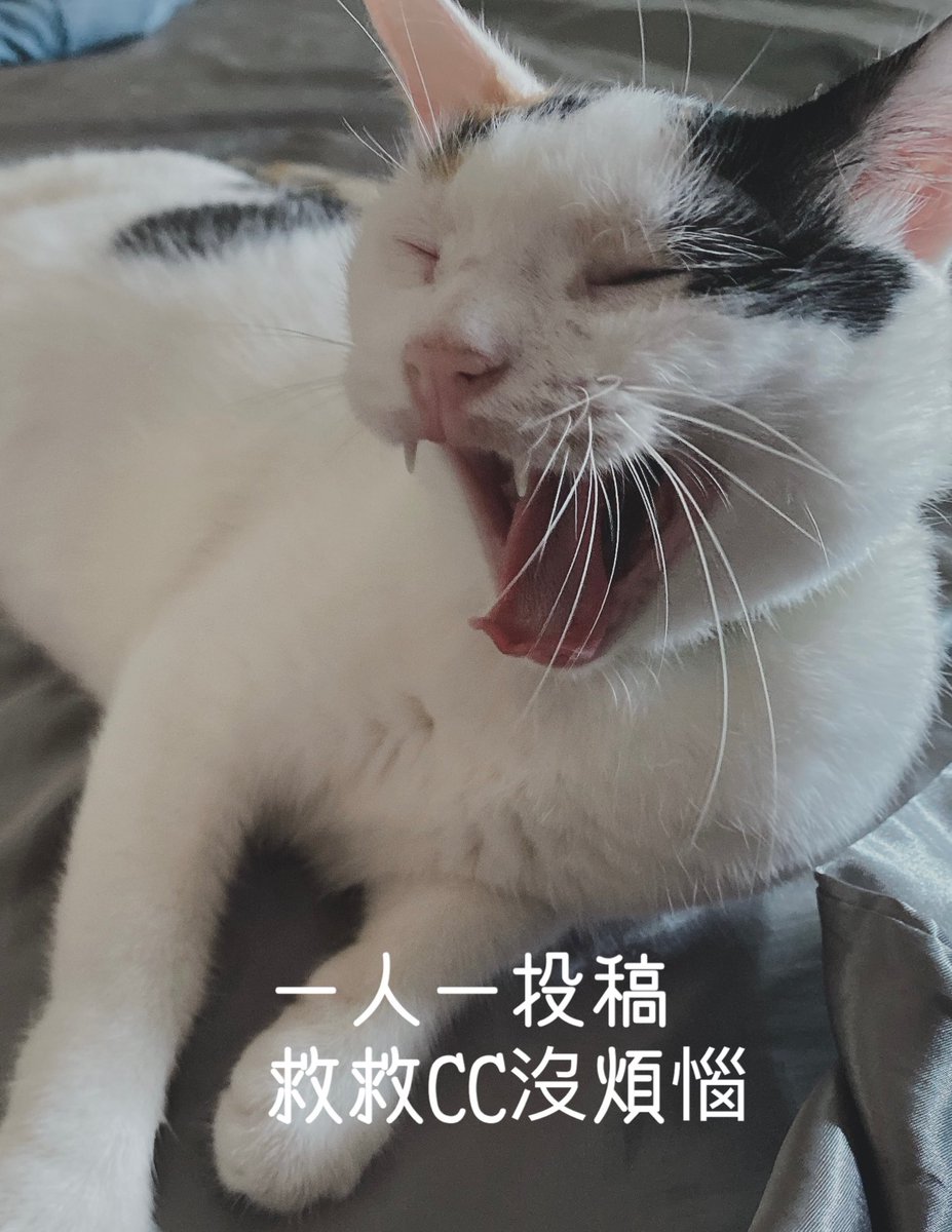 有人和我提及主題台的事情。

我決定在這邊徵收你們的故事！

不管是怎樣的故事或是想要聊聊的議題，都可以私訊我告訴我。

如果是大議題大家都想知道，我會選擇與平凡女子@_ChErYl_tw 在《深夜頻道》討論，而如果是我個人很想談論的議題，我會在我的個人頻道《未歸類頻道》和大家聊聊。
#主題音訊 https://t.co/Co2p64UvI1