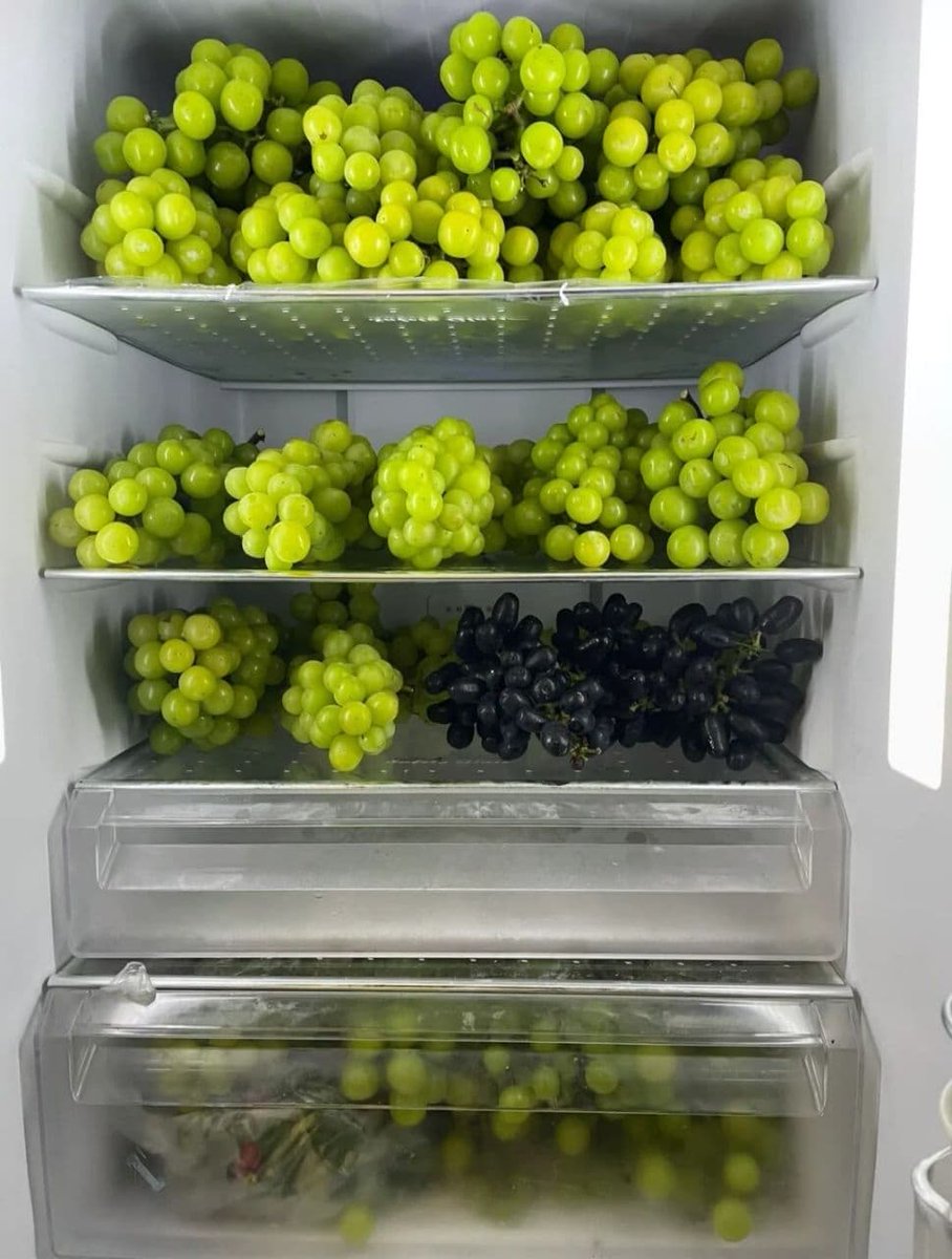 Chocolate0438's tweet photo. The fridge is full of grapes, haha🍇 https://t.co/R8kwBDxuBV