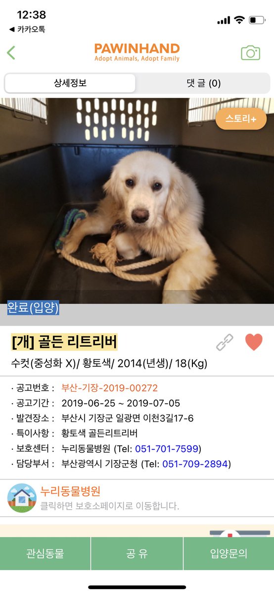 really_maru's tweet photo. #사지말고입양하세요 
제법 사랑스러워😎 https://t.co/o9C0oqzpwU