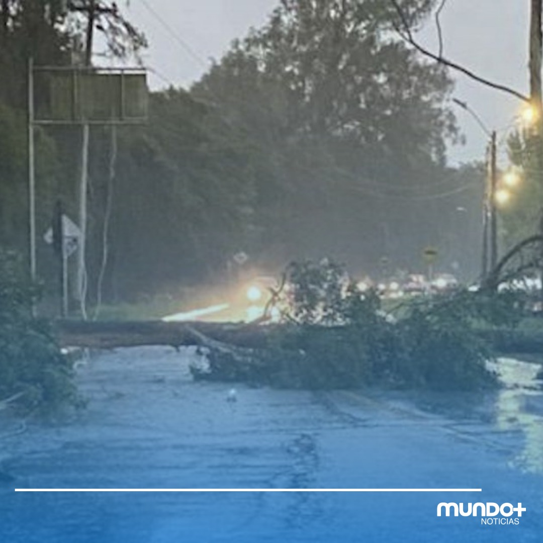 mundomnoticias's tweet photo. Afectaciones por luvia en la vereda la playa. Ver nota aquí 👉 https://t.co/9aHRDGEryB https://t.co/rZHpuDsHnb