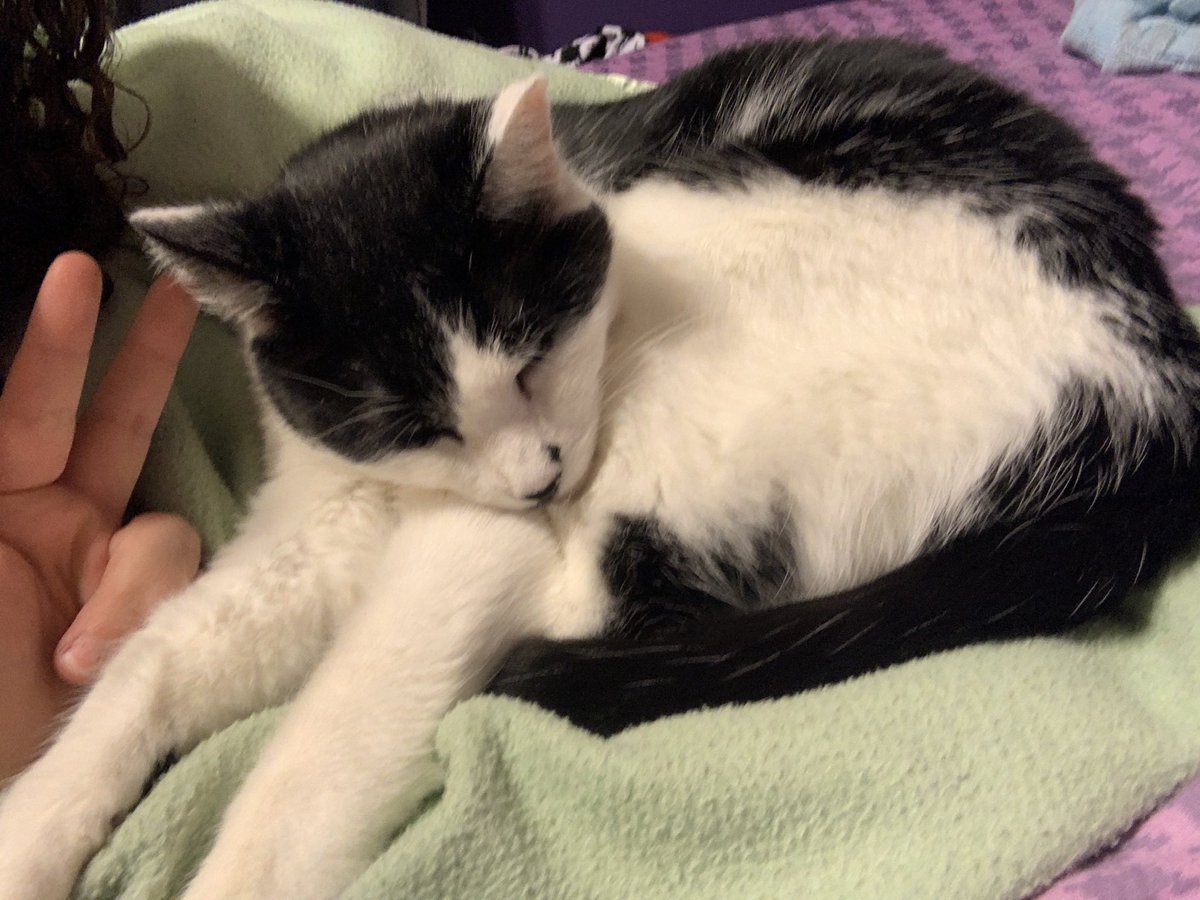 da smoochers tweet media