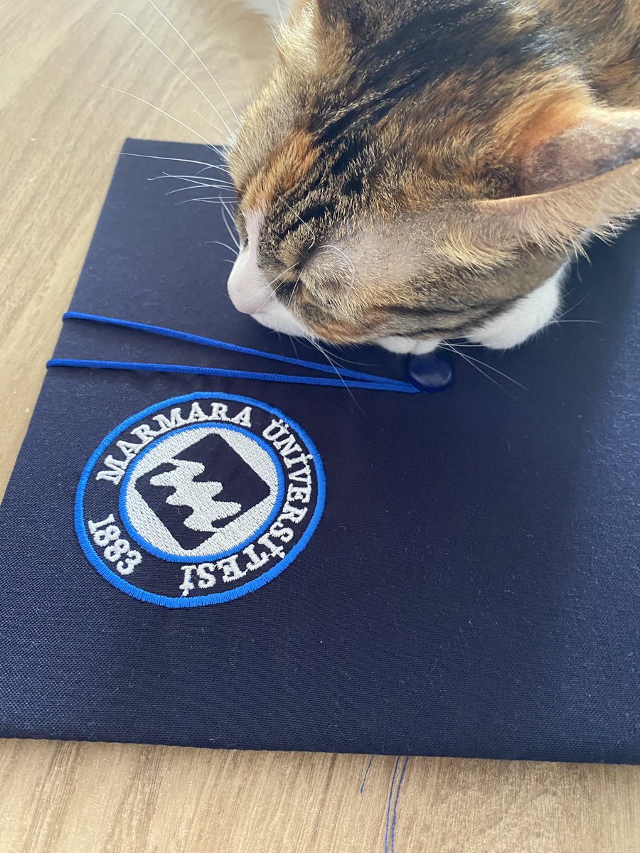 hüşenmetim yüniverstie pitirtim