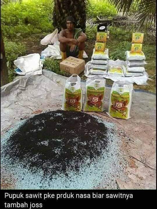 BeasiswaCerdas's tweet photo. BISNIS PUPUK ORGANIK https://t.co/4K0XyYy7ZJ