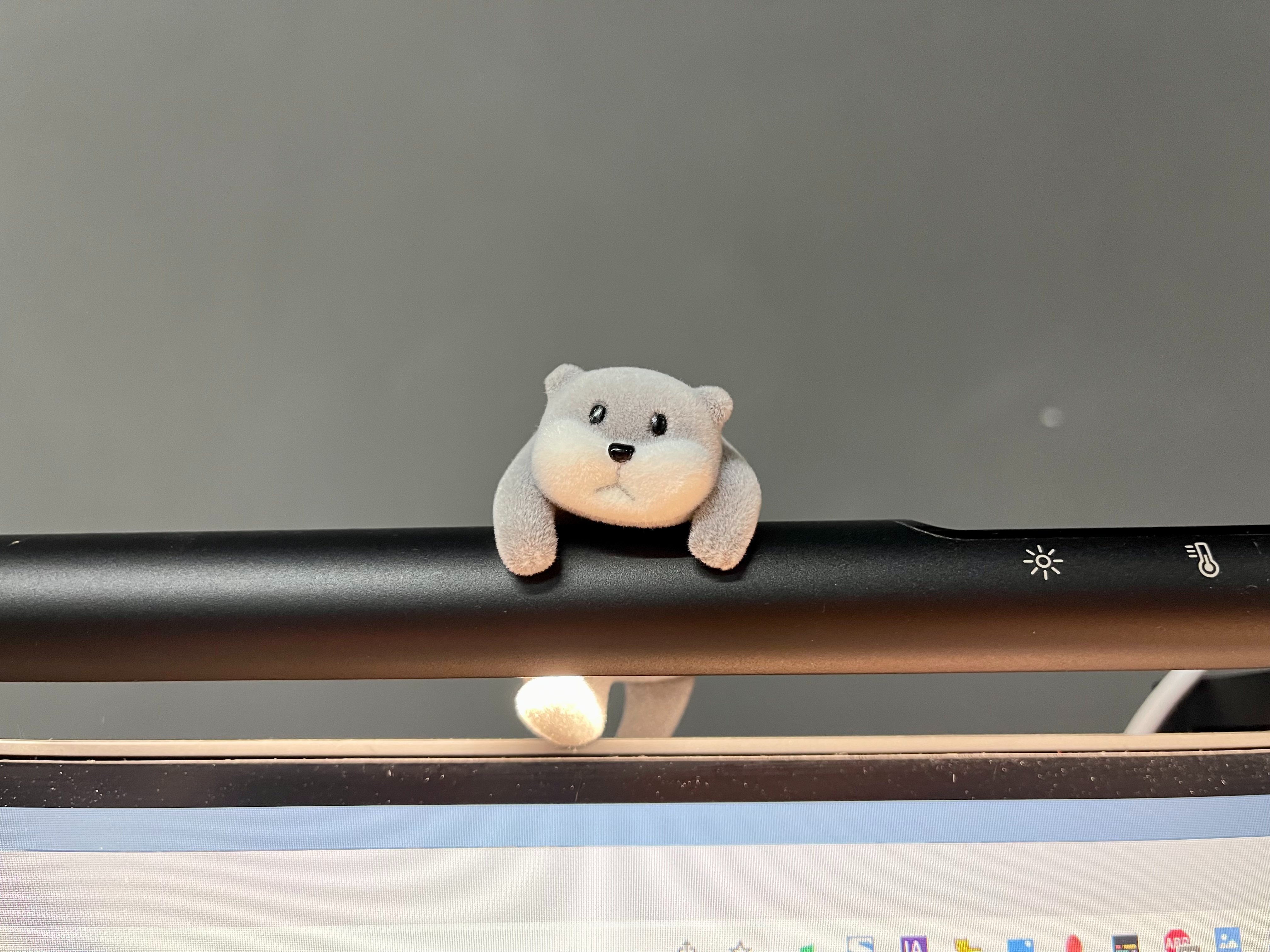 DuanRui (@duanrui1205) / Twitter
