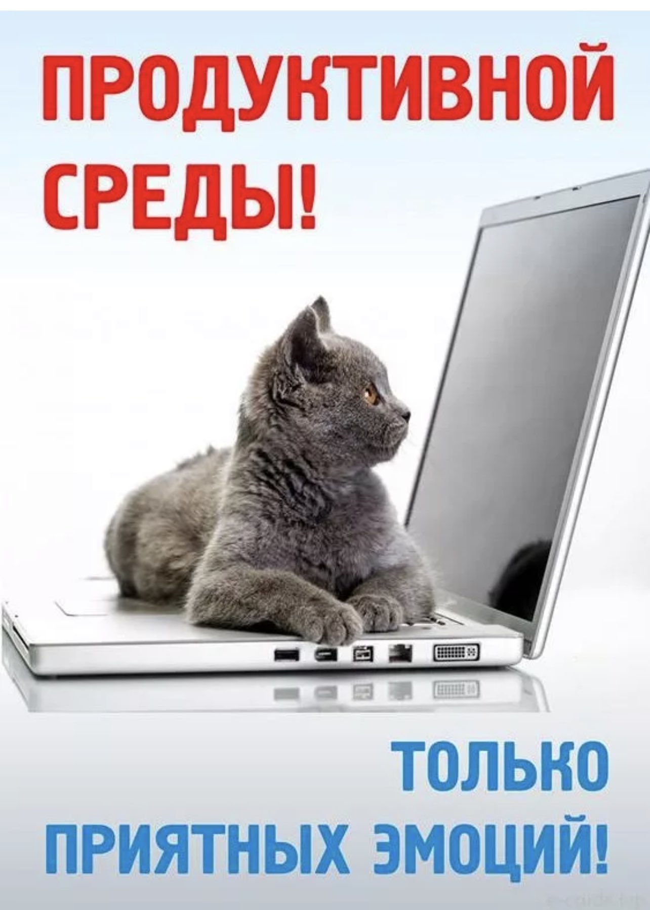 день недели среда