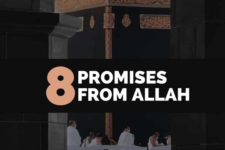 ¤ 8 promises from Allah mentioned in the Quran.🤍🌻

¤ Beautiful Reminder 🤍📌
