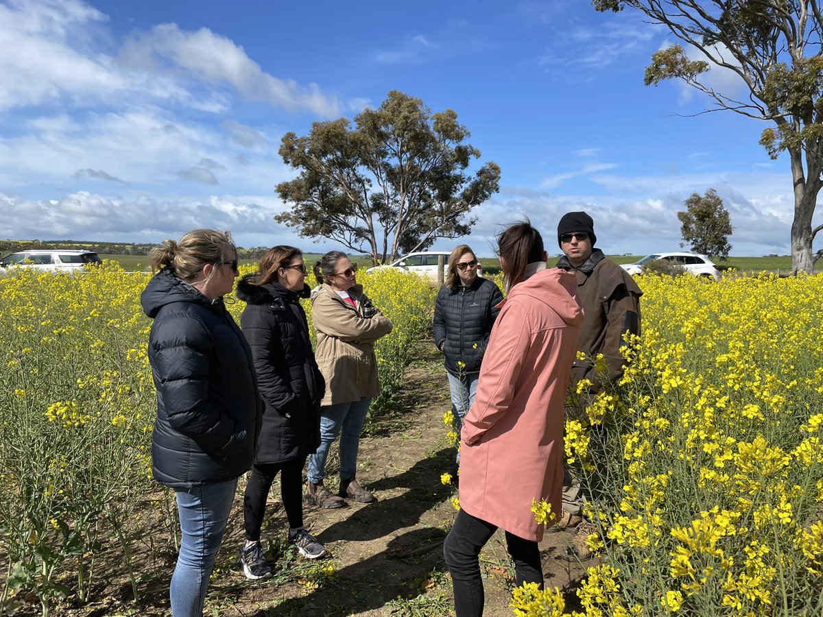Tim McClelland (@prophetised) on Twitter photo What a great research project. Thanks to <a href="/azam_gaus/">Dr Gaus Azam</a> for showing us one of the re-engineering soils sites. How exciting to lift the yields by so much. Birchip Farmers Soil Cereal & Sheep in WA tour. <a href="/theGRDC/">GRDC</a> <a href="/GRDCWest/">GRDC West</a> <a href="/GRDCSouth/">GRDC South</a> What a great research project. Thanks to <a href="/azam_gaus/">Dr Gaus Azam</a> for showing us one of the re-engineering soils sites. How exciting to lift the yields by so much. Birchip Farmers Soil Cereal & Sheep in WA tour. <a href="/theGRDC/">GRDC</a> <a href="/GRDCWest/">GRDC West</a> <a href="/GRDCSouth/">GRDC South</a>