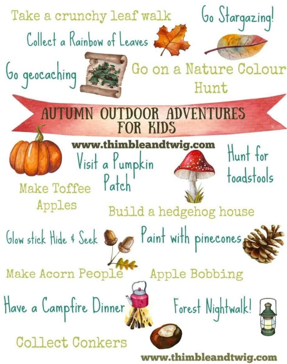 RTforestschool tweet media