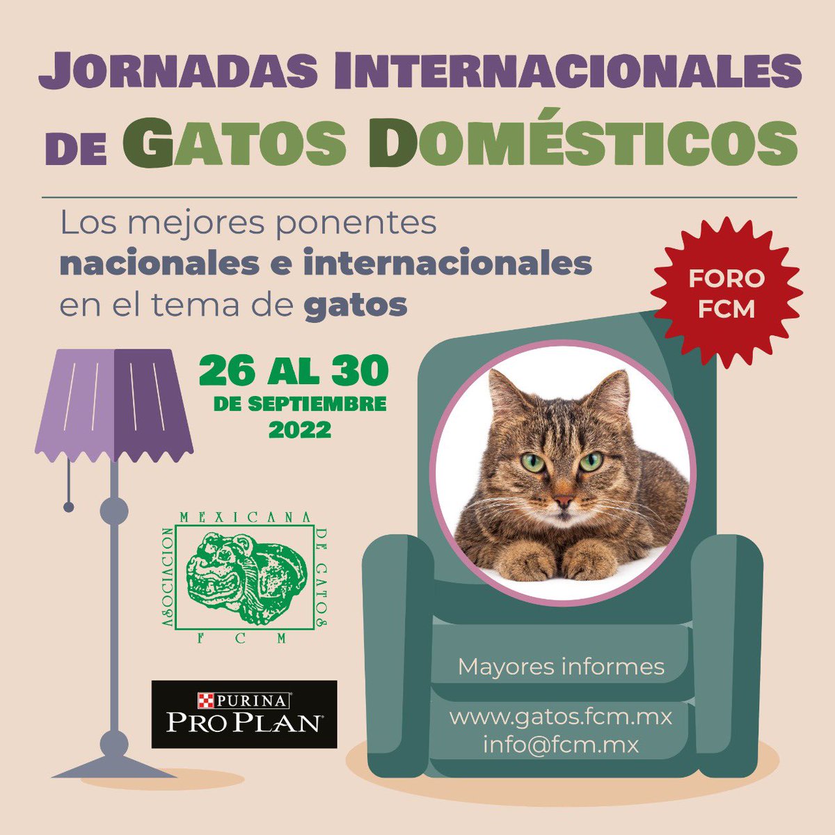 amgatos's tweet photo. ¿Ya se inscribieron? Les comparto la liga donde podrán hacerlo https://t.co/dB1MzjDezW #JornadasInternacionalesdeGatos https://t.co/vbj5ZDEQqH