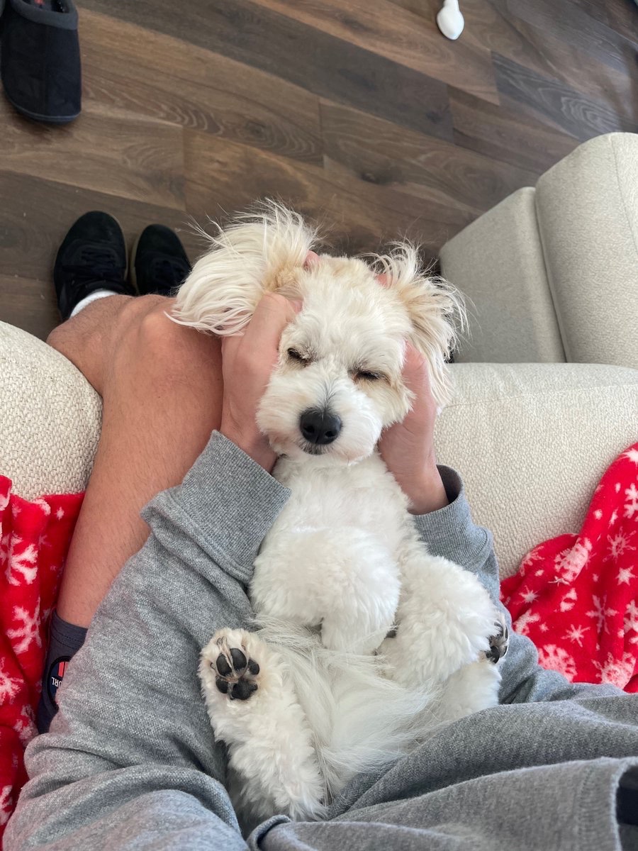 PlugAstro's tweet photo. Even with Crypto being in a bear market… I’m still able to smile everyday with Peaches by my side 🥹

Have a great week as well everyone! https://t.co/XYf1a7iw1m