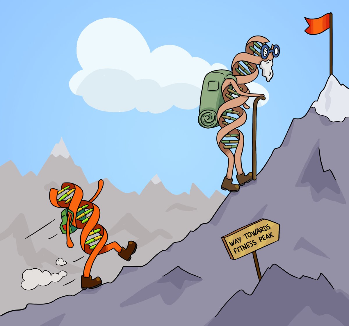 afilipamoutinho's tweet photo. Here it is! Our latest work with @jydutheil and @AdamEyreWalker provides strong evidence for an adaptive walk of gene evolution: young genes adapt faster and accumulate mutations of larger effects than older ones. Check out the full story on @PLOSBiology: https://t.co/4Rl91pDCLG https://t.co/k91vg97Ysr