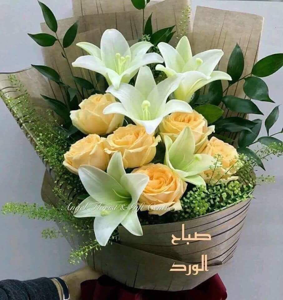 ابووليد tweet media