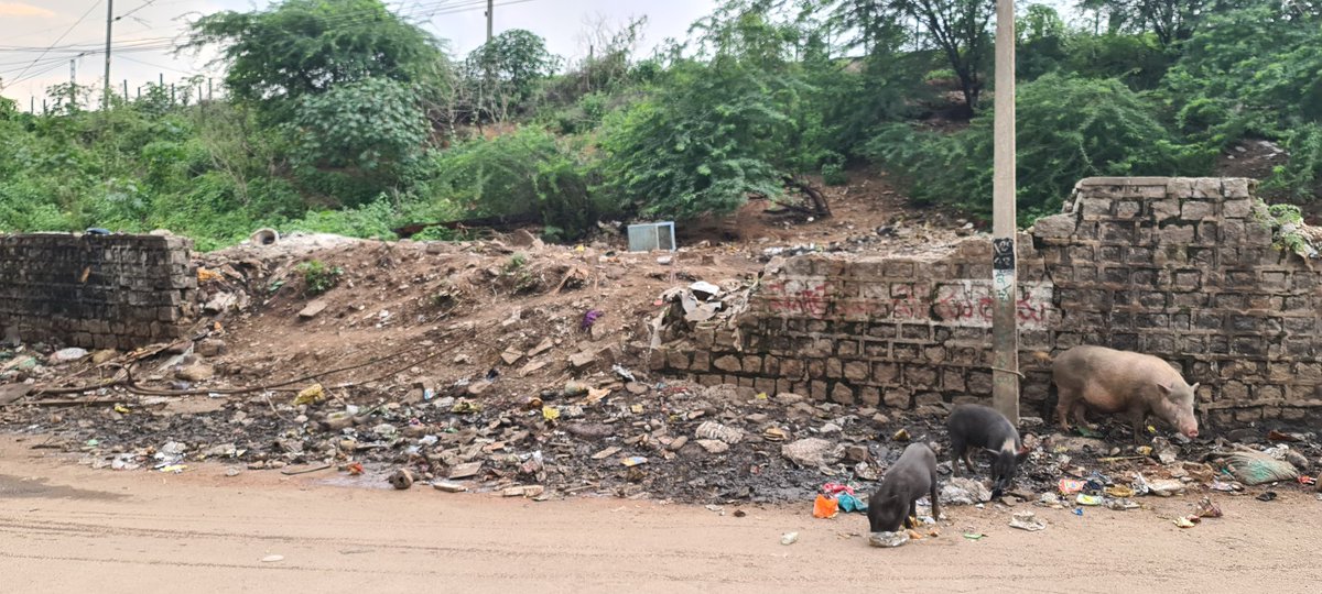 pavanr2345's tweet photo. Madam @GadwalvijayaTRS,This wall is broken to clean the Nala but it not built for which it has become a garbage dump yard.We residents are facing health issues because of this.Sir @KTRTRS I request ur Intervention in building the wall as it is making our lives miserable. https://t.co/gDMvCVzs5S