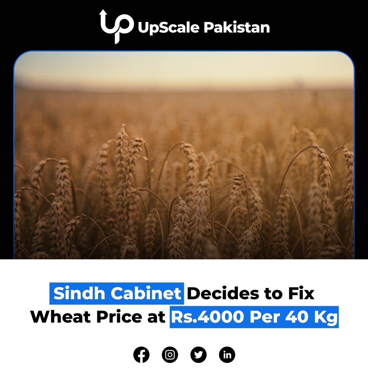 upscale-pakistan-on-twitter-the-sindh-cabinet-has-set-a-support-price