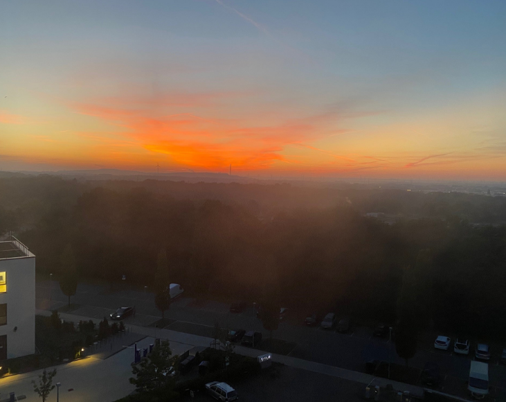 TechologyLtd's tweet photo. Another day another European City. Germany at dawn
A wise man once said to me "what you don't do in the morning you cant do in the afternoon".
#headstart #Germany2022 #sunrise #WIFI survey #gettingitdone https://t.co/tkLTwggvtl