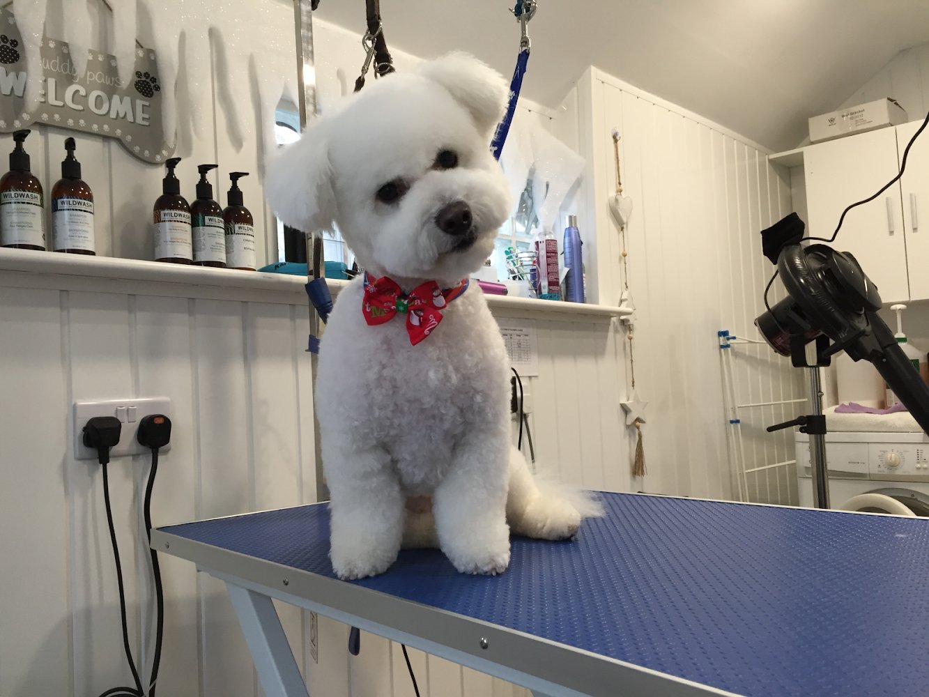 Barks and Bubbles Groomers (Barkandbubbles_) / Twitter
