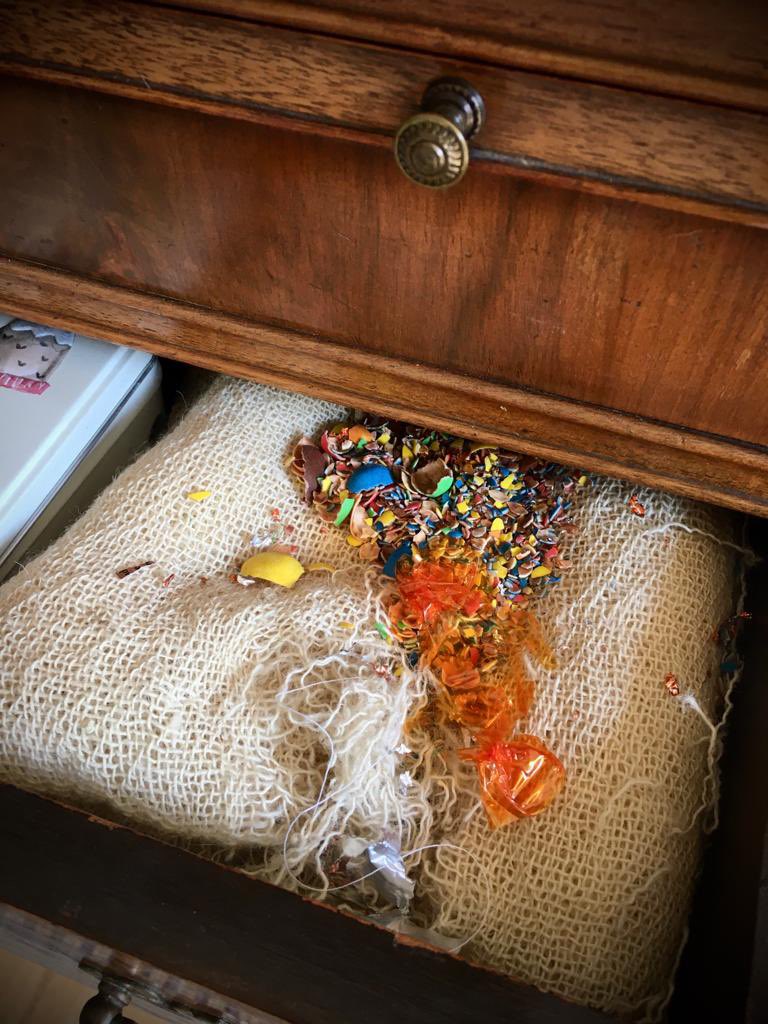 Landguardltd's tweet photo. We all like to indulge sometimes, as apparently do rodents, demonstrated here in an historic #Otley property.
After accessing a drawer of an antique dresser our furry mischief makers happily munched on chocolates before making a bed by shredding up the cushion.
#pestcontrol #rat https://t.co/xuJGyjS373