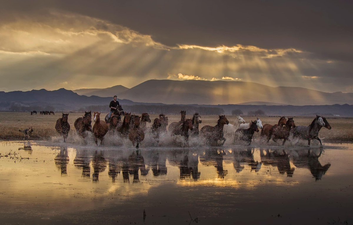 mermi_ayten's tweet photo. @bavugar @sharafi_eth @nabulines Hi! ✨📸
The light and reflection of the Yılkı horses on the slopes of Mount Erciyes 

0.12 ETH 
1/1 edition

https://t.co/6GRs03C1sR https://t.co/Bz5TTQAHWM