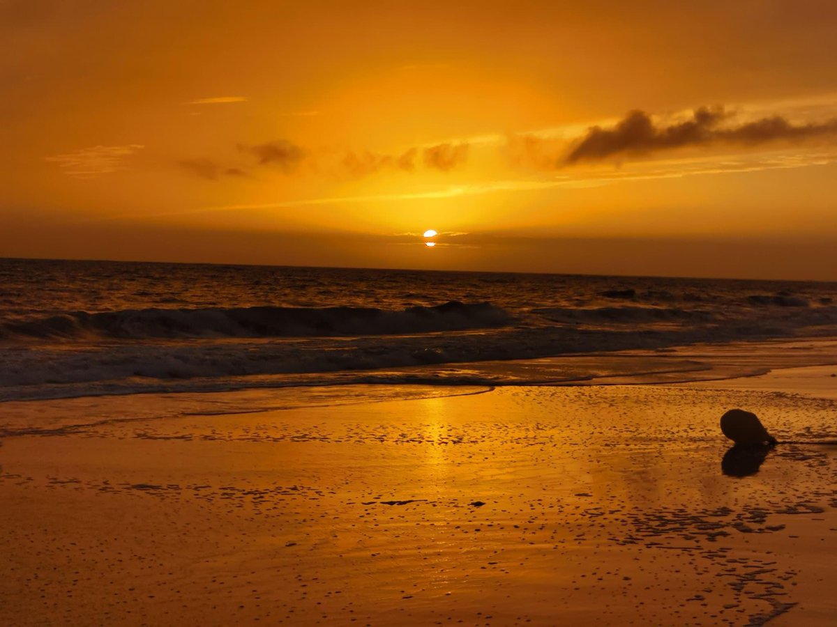 TurismoRota's tweet photo. Mágico #atardecer en la #playaderota que nos regala nuestro querido amigo @volkhammel y que nos encanta 😍😍
.
#descubrerota #rotasabeafelicidad
.
Amazing #sunset at the #rotabeach #rotaspain to wish you a great #wednesday 🤗🤗
.
#discoverrota #rotathetasteofhappiness https://t.co/rrt410Hypa