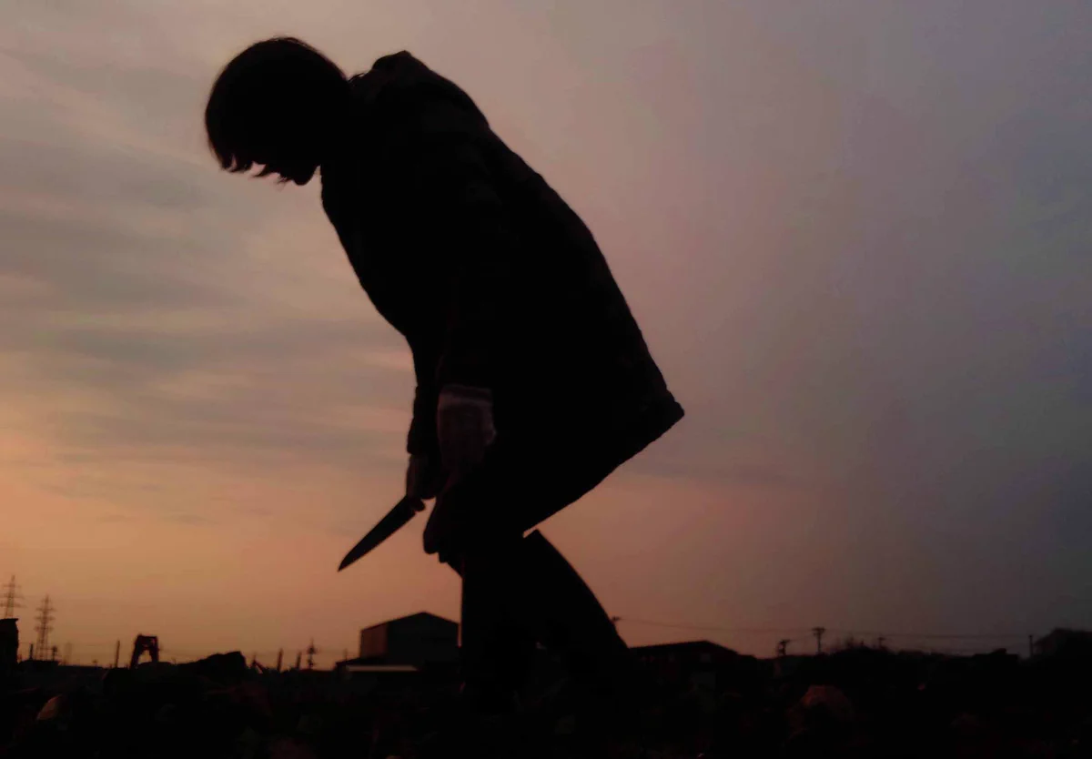 『キャベツを収穫しただけなのに・・』ｗｗ奥様の写真がホラー映画のようになってしまった衝撃の写真がこちらｗｗ