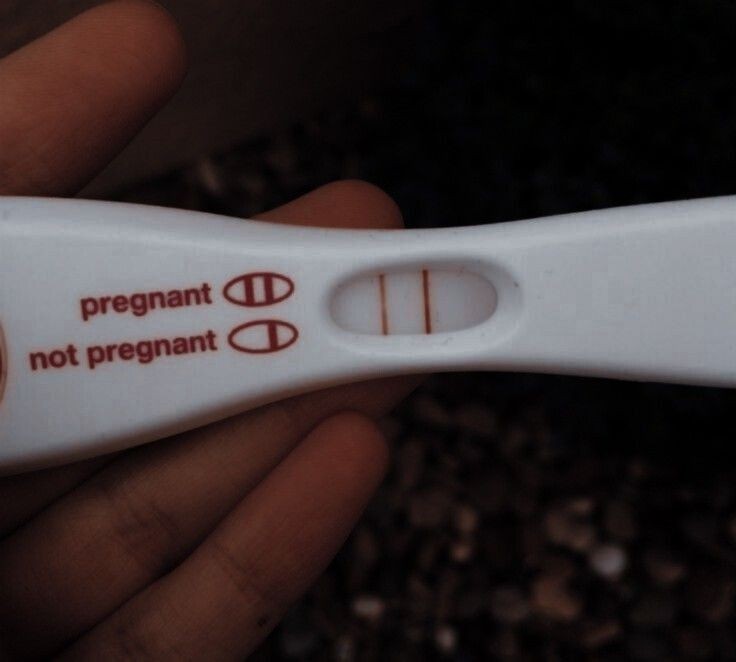 ‍ ‍ ‍ ‍ ‍ ‍ ຕ𝘰𝘯𝘪𝘬🦌 | hiatus tweet media