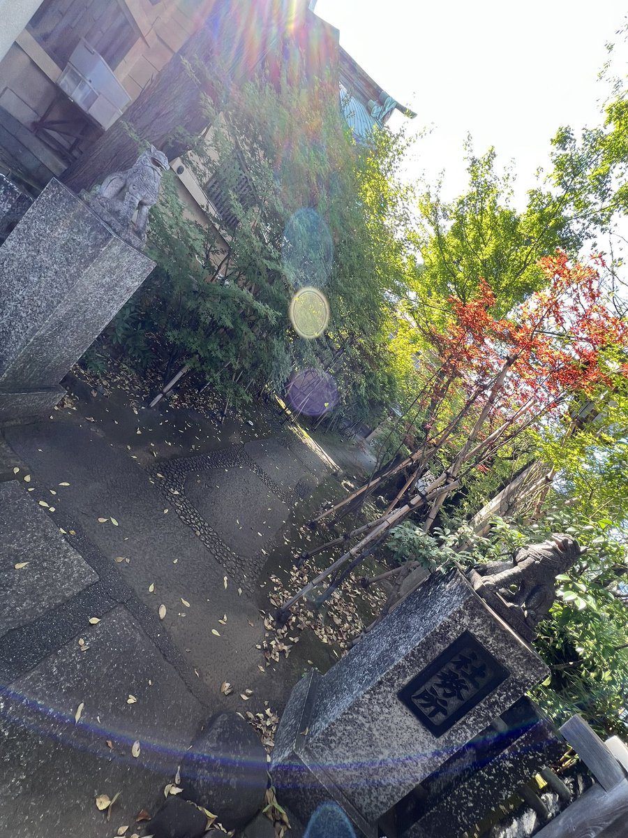 jf95mp254's tweet photo. シントーの聖地巡礼してきた😊❤️
#SingtoPrachaya 
#SingtoInJapan https://t.co/dzd1YmzsaE