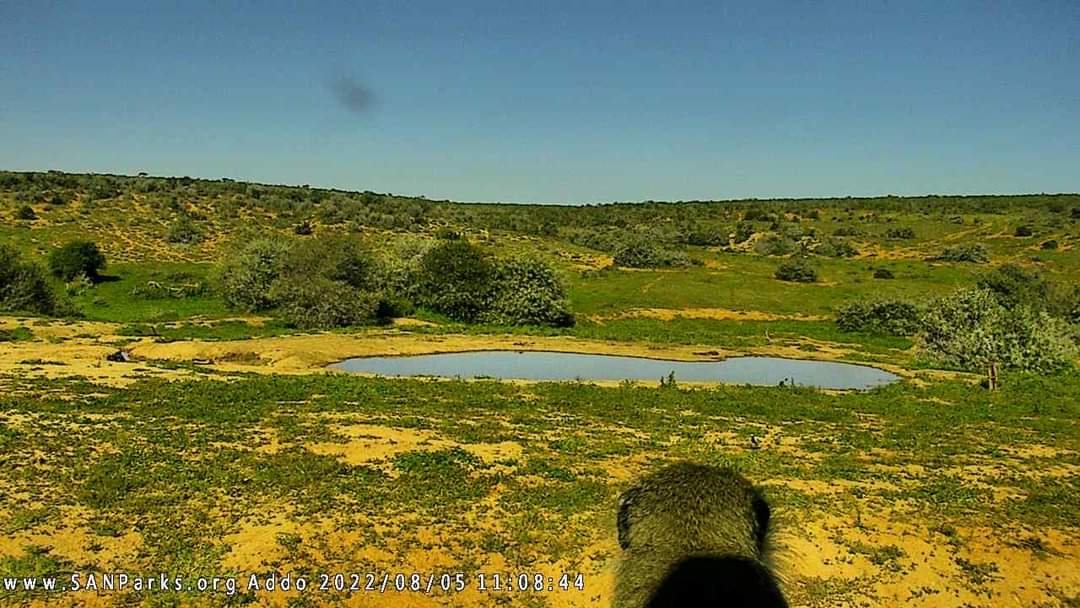 Golden Gate Highlands National Park tweet media