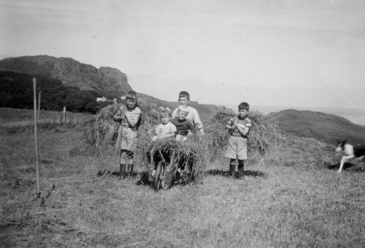 Obair an fheòir ann an Stafainn. Haymaking in Staffin. Haymaking takes place during a dry spell in the late summer, to make winter feed for livestock. A great deal of skill & optimal weather is required for it to be a success. @CommunityLandSc #gàidhlig #cleachdi #gaelic