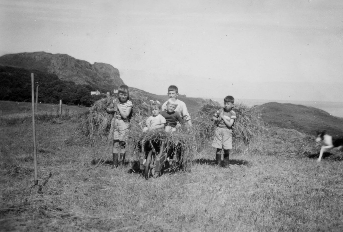 SkyeEcomuseum's tweet photo. Obair an fheòir ann an Stafainn.
Haymaking in Staffin. 
Haymaking takes place during a dry spell in the late summer, to make winter feed for livestock. A great deal of skill &amp; optimal weather is required for it to be a success. 
@CommunityLandSc #gàidhlig #cleachdi #gaelic https://t.co/2hVIj5b6PC