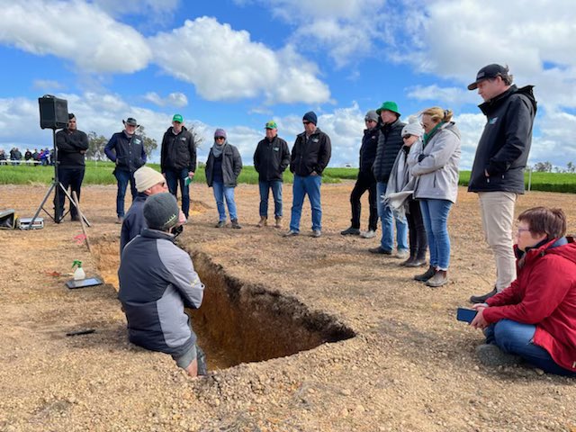 GRDCWest's tweet photo. Rounding out day 3 of the @GRDCWest Spring Panel Tour with a visit to the @DPIRDbroadacre Soils Field Day in Williams. Insightful discussions on amelioration, soil borne disease and crop rotations. Thanks to all the presenters and host @mdfowler100 https://t.co/Qayw5nKAwk