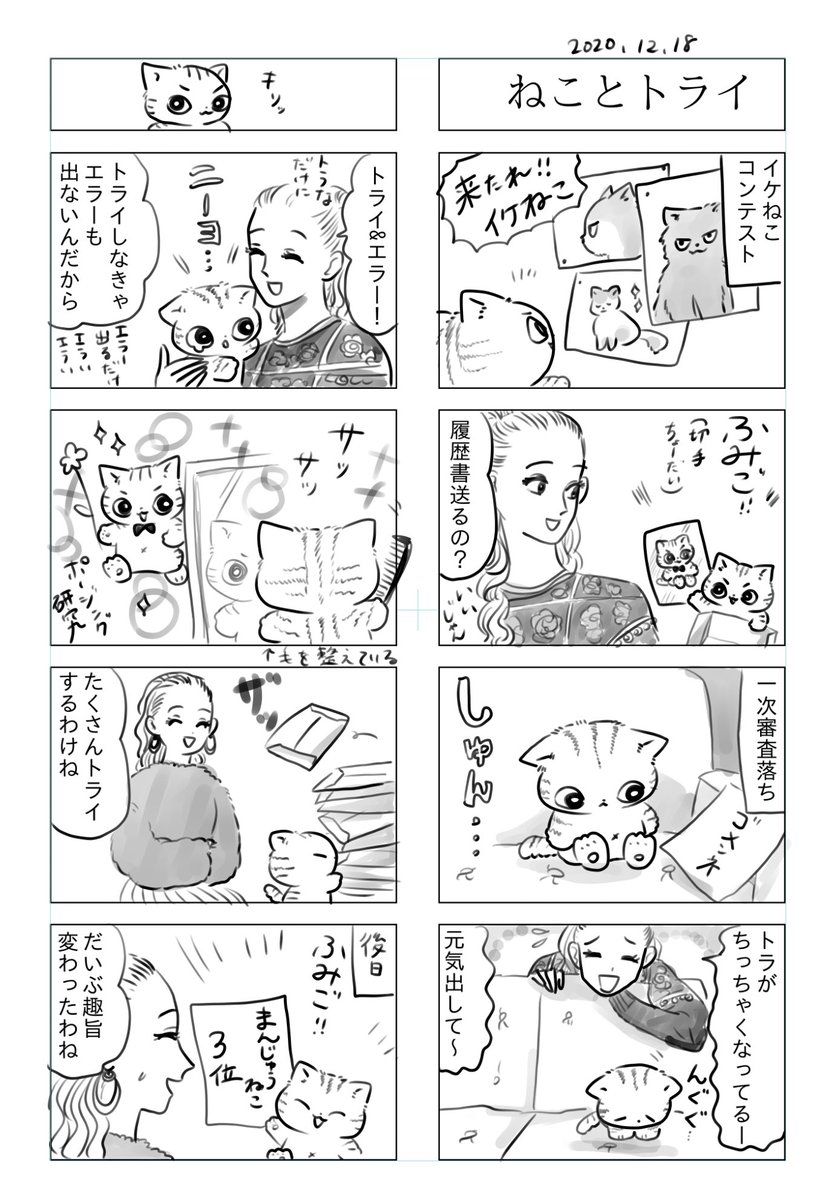 トラと陽子

ねこの挫折と再起 