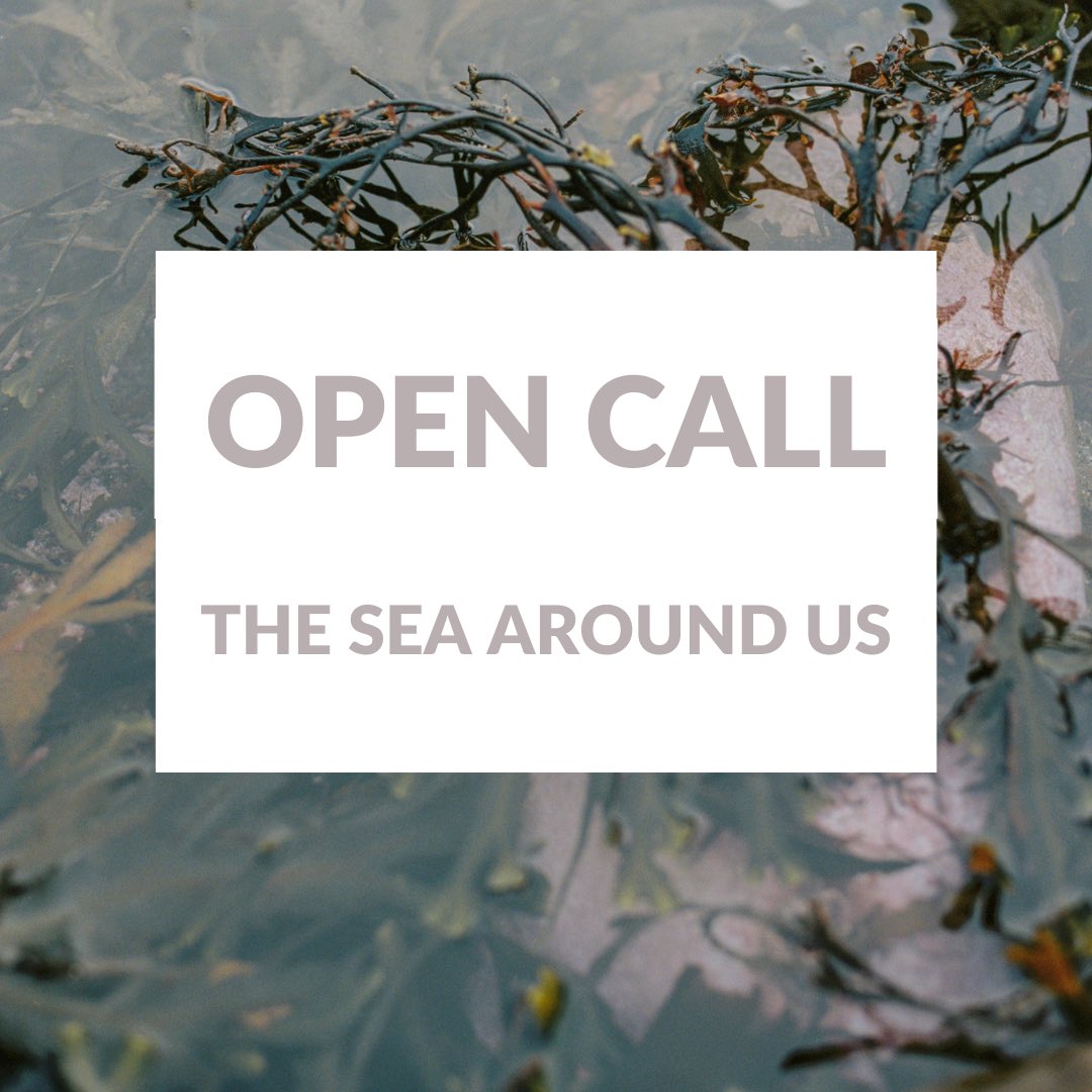 OPEN CALL: THE SEA AROUND US

Are you interested in the sea and its future in the midst of ~everything~?

The Nature Library is looking for poetry and short form creative writing (make of that what you will) on the theme of THE SEA AROUND US.

More info at thenaturelibrary.com/locations/clim…